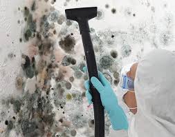 Mold Remediation for Vacation Homes in Marshfield Hills, MA